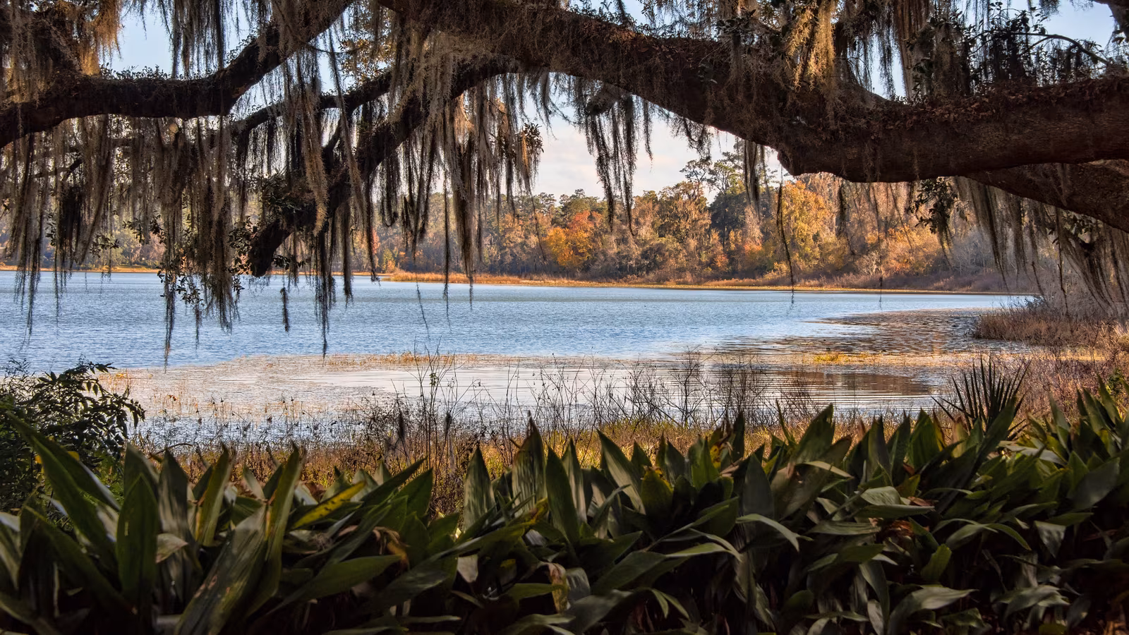 Tallahassee, Florida